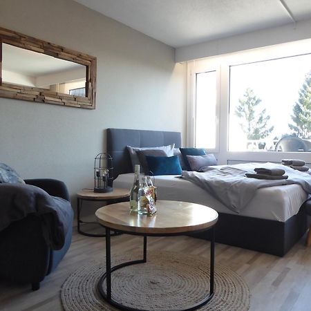 Mountain Suite Winterberg Pool Sauna Hund 4 Pers Wifi Near Bikepark Esterno foto